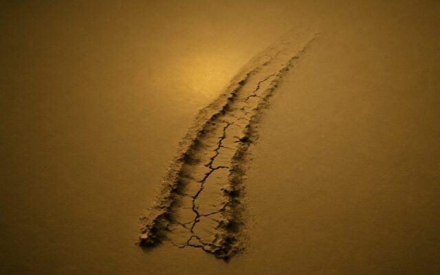 Cracked furrow running across dry golden earth, reflecting the Earth Ox (Ji Chou) year in Chinese astrology