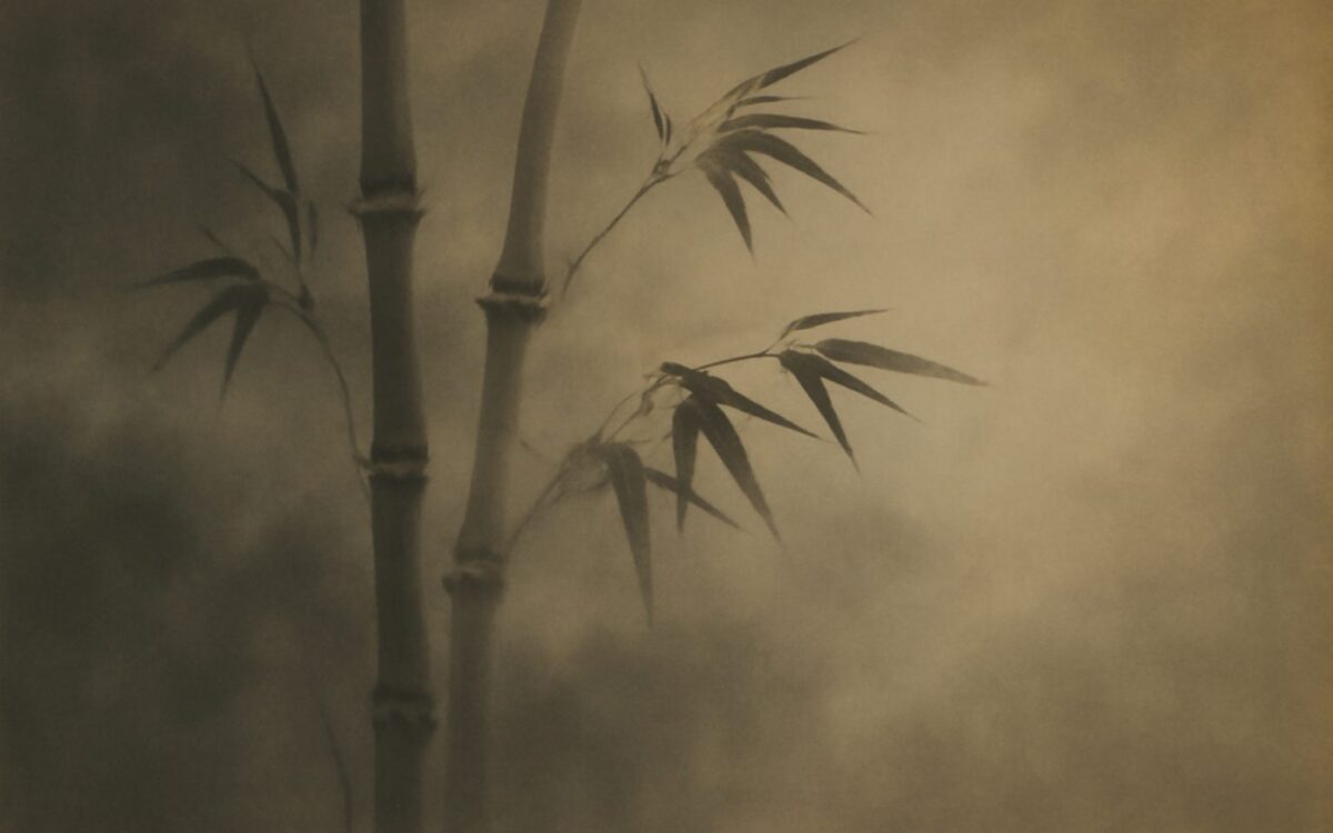 巽卦（第57卦）详解：卦象、卦辞、爻变与处世启示