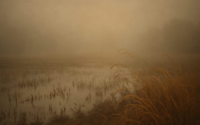 Wet field under low mist, reflecting the Ji Hai day pillar and its spouse palace