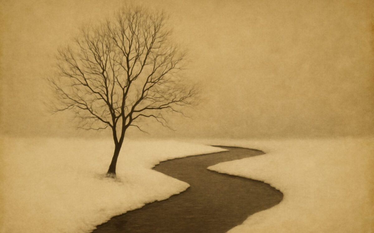 Bare tree by a snowy river, a backdrop for Jia Wood born in winter in Ba Zi
