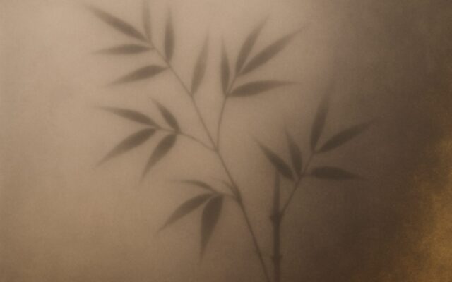 Bamboo shadows in mist, illustrating the hidden stems of the Mao branch, the Rabbit