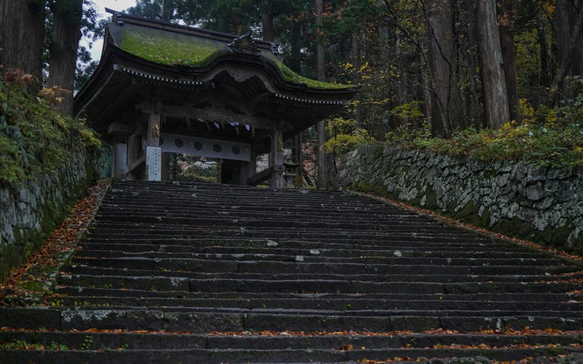 属牛2027年运程：丑未相冲又相刑，丁未羊年逐月详解