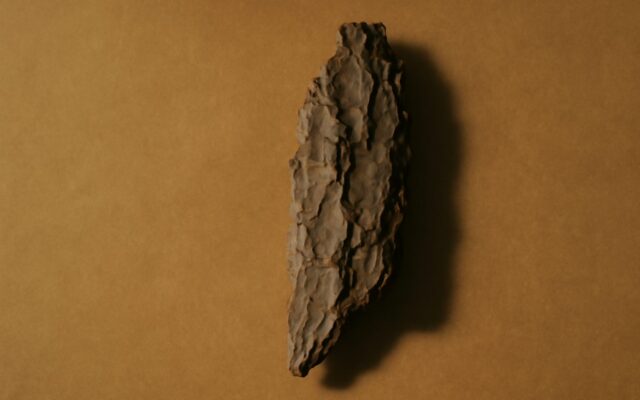 Pine bark texture in shadow, evoking the Wood Monkey (Jia Shen) year and its personality