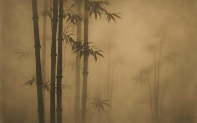 Bamboo grove in mist, illustrating the Wood Tiger (Jia Yin) year in Chinese astrology