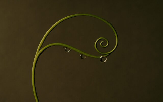 Green vine tendril with dew, illustrating Yi Wood born in spring and its seasonal strength